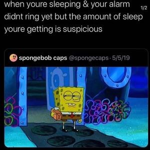 Meet your Posher, Tamia